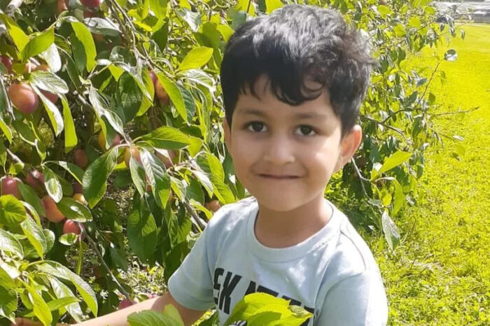 Four-year-old London boy hospitalised after being attacked by an XL Bully dog