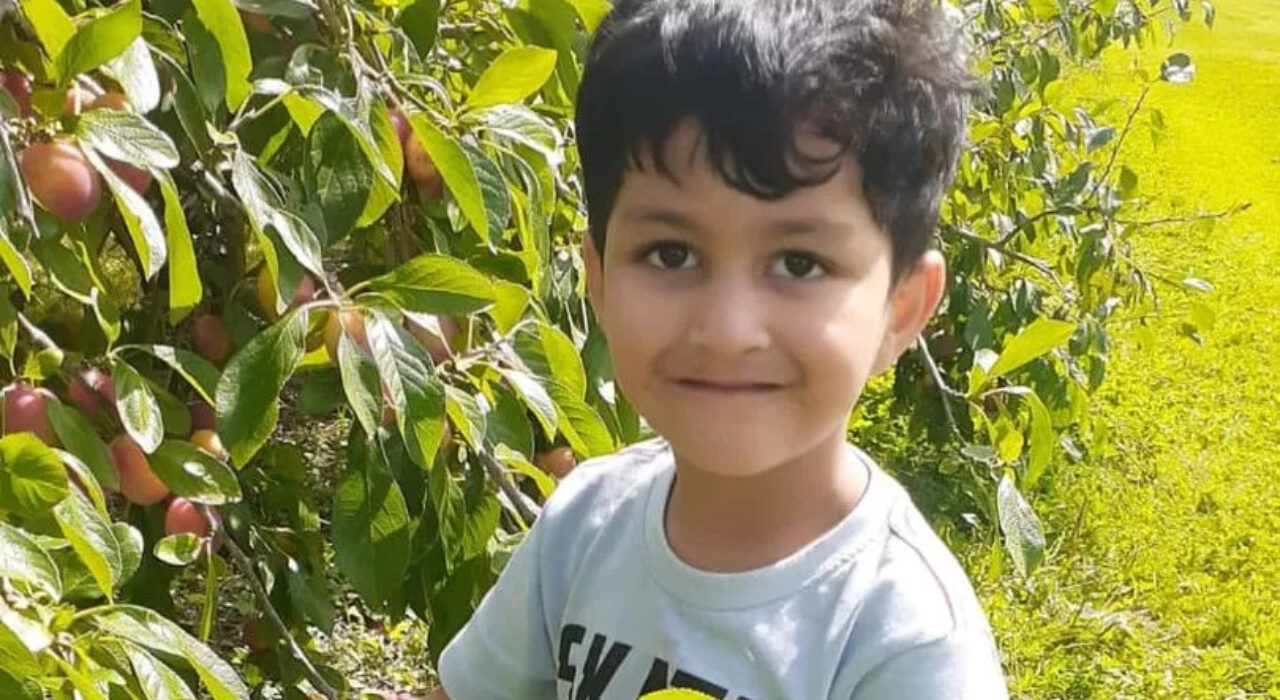 2-A-Four-year-old-London-boy-hospitalised-after-being-attacked-by-an-XL-Bully-dog