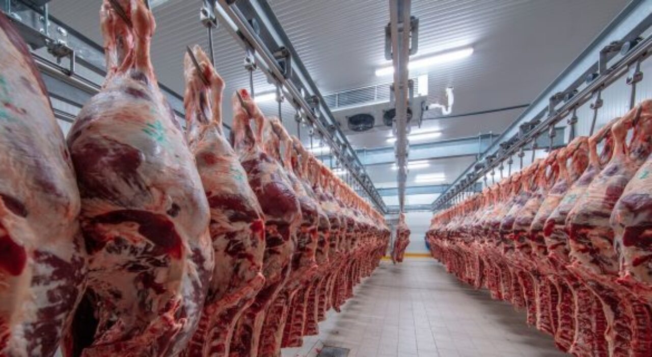 2A. Meat